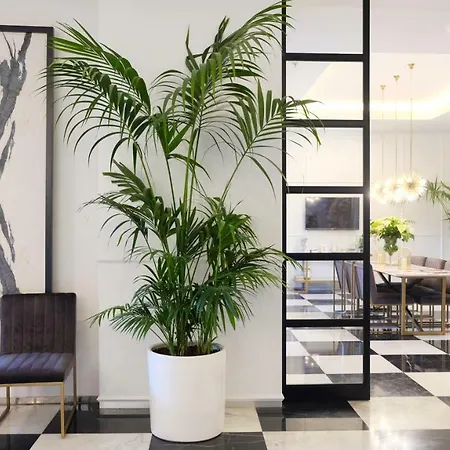 Szálloda Akra V - Access To Akra Antalya